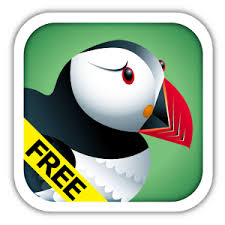 iOS Flash Player